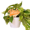 Tennessee Vols Color Plant Stake