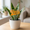 Tennessee Vols Acrylic Plant Stake