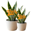 Tennessee Vols Acrylic Plant Stake