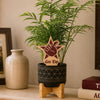 Texas A&M Gig 'Em Color Plant Stake
