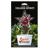 Texas A&M Gig 'Em Acrylic Stake