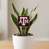 Texas A&M ATM Acrylic Stake