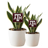 Texas A&M ATM Acrylic Stake