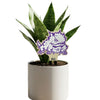 TCU Horned Frog Color Plant Stake