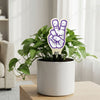TCU 'Go Frogs' Color Plant Stake