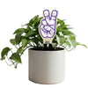 TCU 'Go Frogs' Color Plant Stake