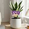 TCU Color Plant Stake