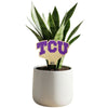 TCU Color Plant Stake