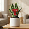 Texas Tech Logo Acrylic Stake