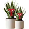 Texas Tech Logo Acrylic Stake