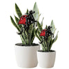 Texas Tech Rider Acrylic Stake