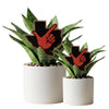 Texas Tech State Acrylic Plant Stake