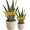 Toledo Logo Acrylic Plant Stake