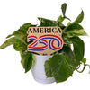 America 250 Color Plant Stake