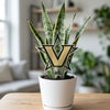 Vanderbilt University Star V Acrylic Plant Stake