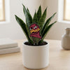 Virginia Tech Hokie Head Acrylic Plant Stake