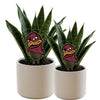 Virginia Tech Hokie Head Acrylic Plant Stake