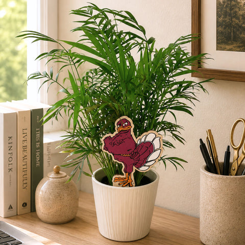 indoor plants virginia tech Virginia Tech Standing HokieBird Color Plant Stake - Medium