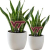 Virginia Tech VT Acrylic Plant Stake