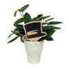 Wake Forest University Hat Color Plant Stake