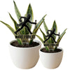 Wake Forest University Deacon Sillouette Acrylic Plant Stake