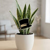 Wake Forest University Hat Acrylic Plant Stake
