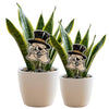Wake Forest University Deacon Head Acrylic Plant Stake