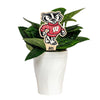 University of Wisconsin Badger Color Plant Stake