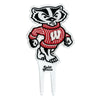 University of Wisconsin Badger Acrylic Plant Stake