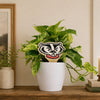 University of Wisconsin Badger Head Color Plant Stake