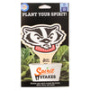 University of Wisconsin Badger Head Color Plant Stake