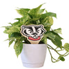 University of Wisconsin Badger Head Color Plant Stake