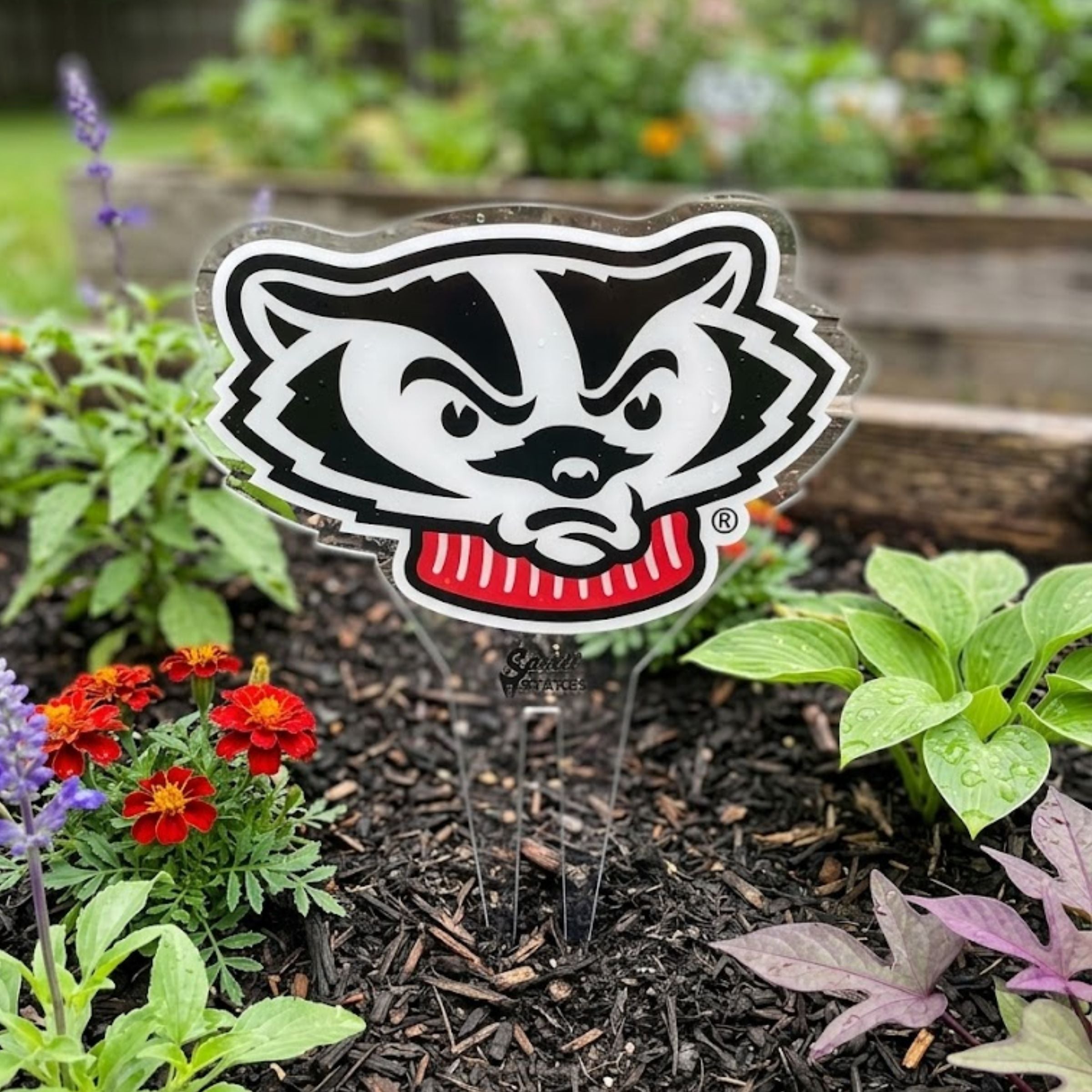 University of Wisconsin Badger Head Garden Sign – Spirit Stakes