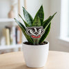 University of Wisconsin Badger Head Acrylic Plant Stake