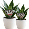 University of Wisconsin Badger Head Acrylic Plant Stake