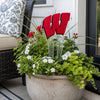 Wisconsin Motion W Medium Garden Stake