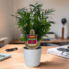 Chi Omega Crest Color Plant Stake