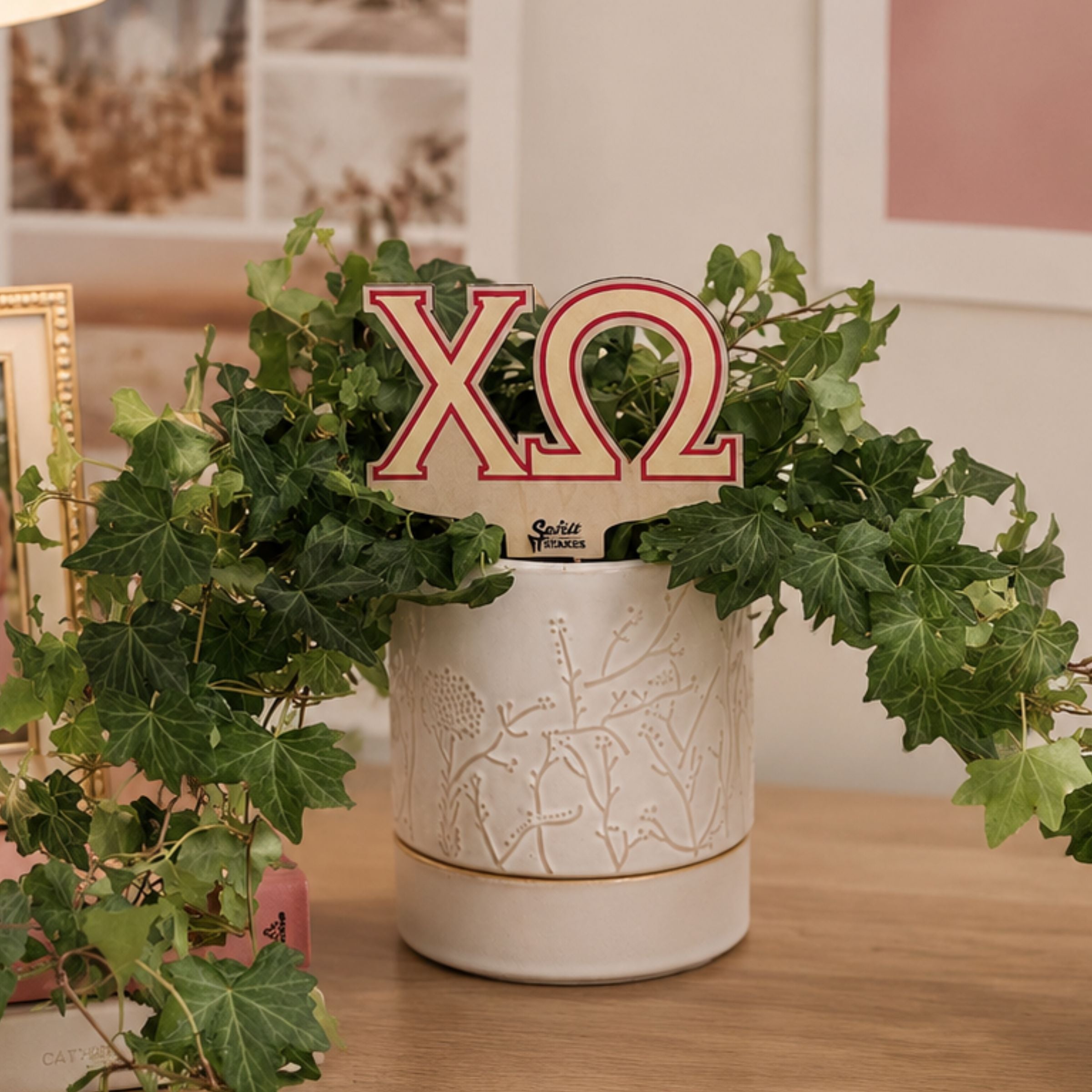 Chi Omega Letters Color Plant Stake – Spirit Stakes