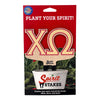 Chi Omega Letters Color Plant Stake
