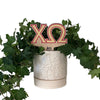 Chi Omega Letters Color Plant Stake