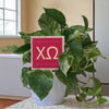 Chi Omega Sign Color Plant Stake