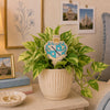 Zeta Tau Alpha Crest Color Plant Stake