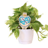 Zeta Tau Alpha Crest Color Plant Stake