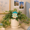 Zeta Tau Alpha Crown Color Plant Stake