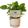 Zeta Tau Alpha Motto Color Plant Stake
