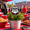 University of Georgia Bulldog Acrylic Decorative Stake